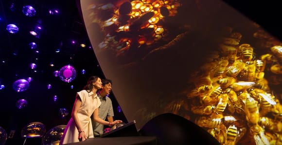 Singapore: Mandai Wildlife Reserve Exploria Entry Ticket