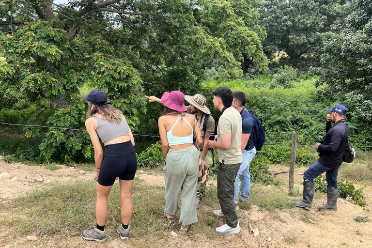 Palomino: Guided Birdwatching Tour with Hotel Pickup