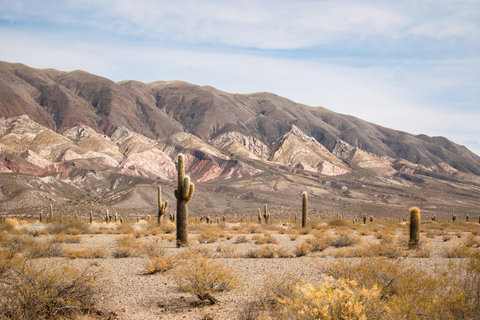 VALLEYS COMBO: CACHI AND CAFAYATE