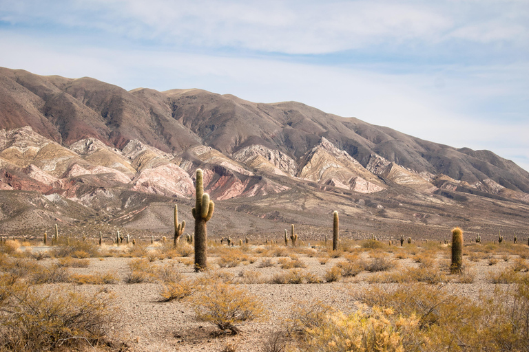 VALLEYS COMBO: CACHI AND CAFAYATE