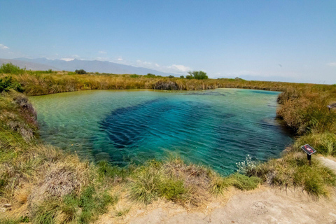 From Monterrey: Tour a Cuatro Ciénegas one day tour