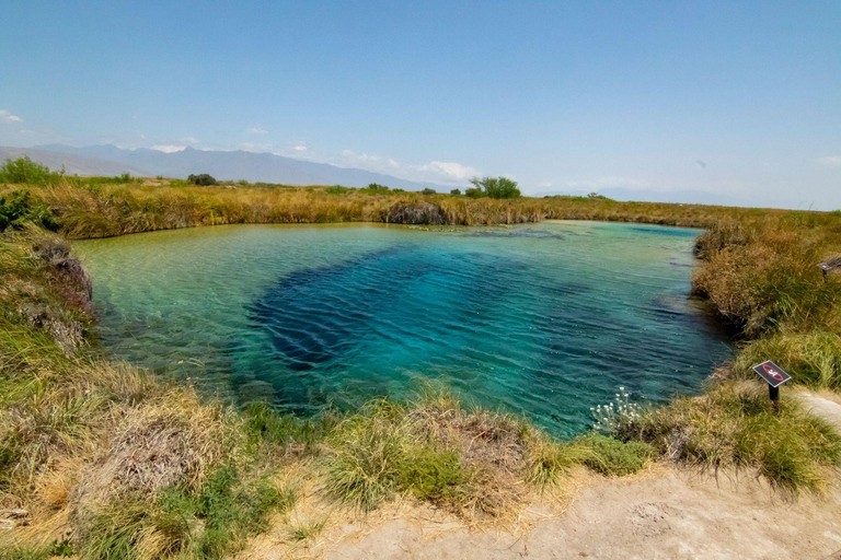 From Monterrey: Tour a Cuatro Ciénegas one day tour