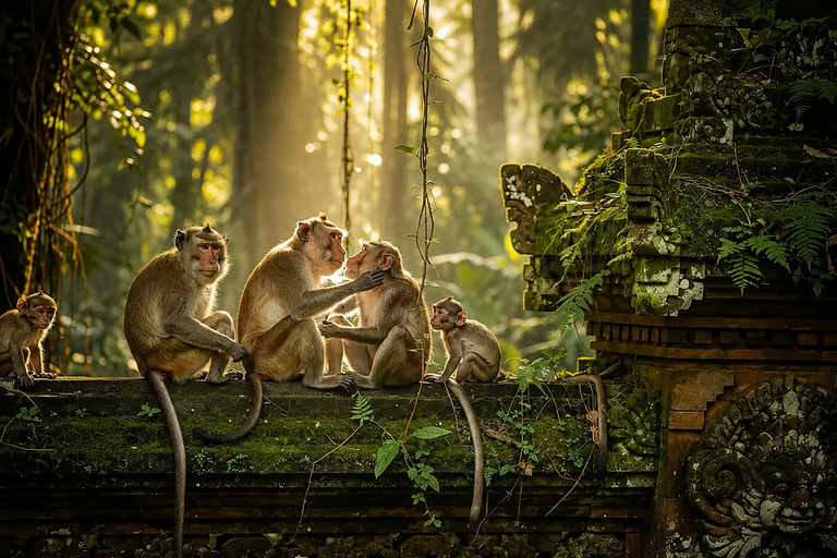 Ubud Private Tour – Nature,Culture,Experience & Hidden Gems Ubud Private Tour – Ubud Monkey Forest & Waterfall Tour