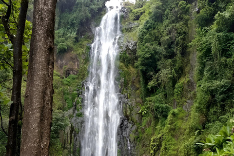 Excursion d&#039;une journée aux chutes d&#039;eau de Materuni, à la ferme de café et aux sources d&#039;eau chaude