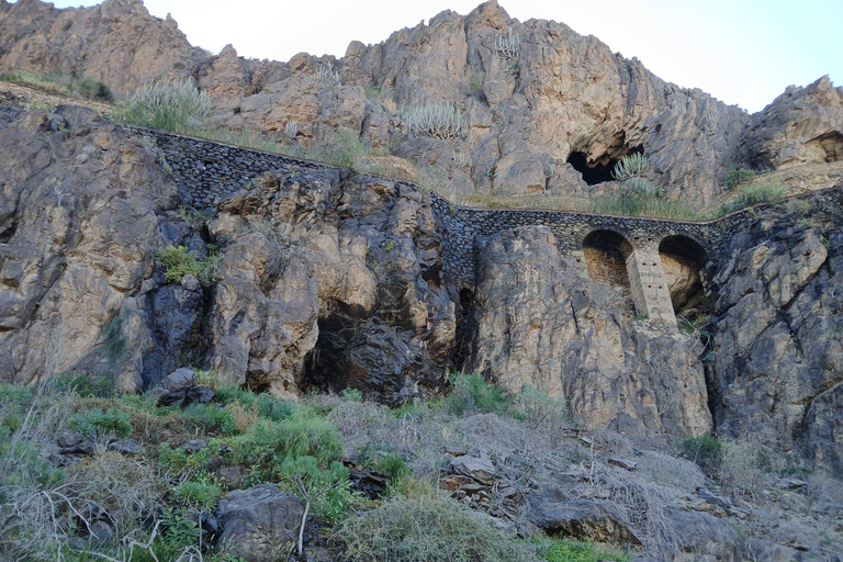 Maspalomas-fataga-ayagaures by e-bike through ravines