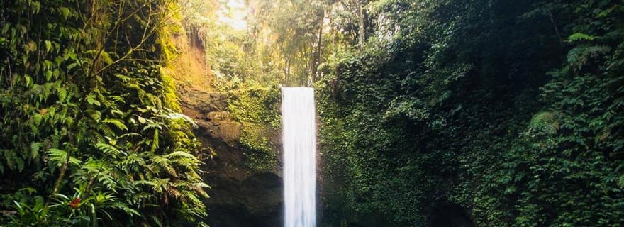 Ubud : temple de l'eau, rizières en terrasses, cascade, visite privée