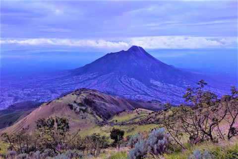 Von Yogyakarta aus: Berg Merbabu TageswanderungMount Merbabu Tageswanderung