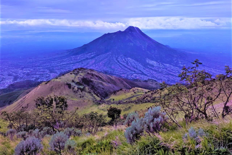 Von Yogyakarta aus: Berg Merbabu TageswanderungMount Merbabu Tageswanderung