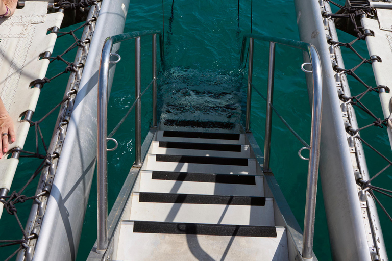 Ibiza: Formentera Sailing Catamaran with BBQ & Snorkeling