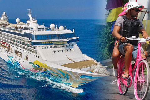 Tour di un giorno in crociera: Escursioni a terra a Giacarta