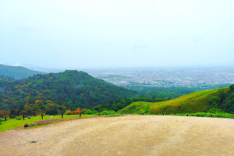 Nara: Hike Mt. Wakakusa and Encounter Wild Free-Roaming Deer