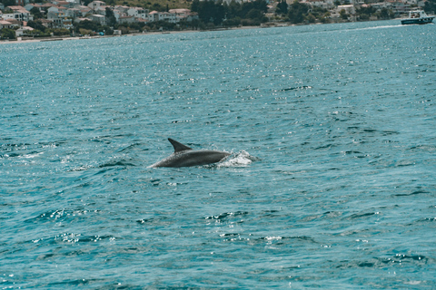 Private Blue Lagoon & Trogir, 3 Island Half-day Tour