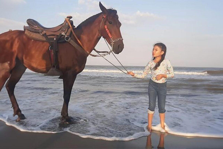 Horseback riding along the beaches of Cartagena at Sunset