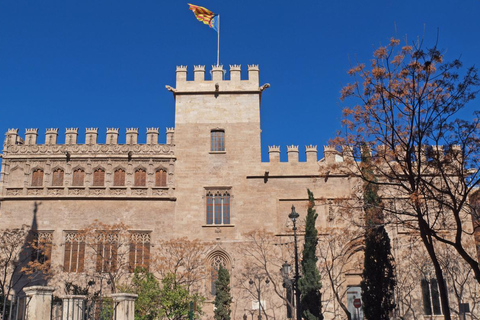 From Alicante: Day Trip to Valencia and the Albufera with Boat Ride From Alicante in English