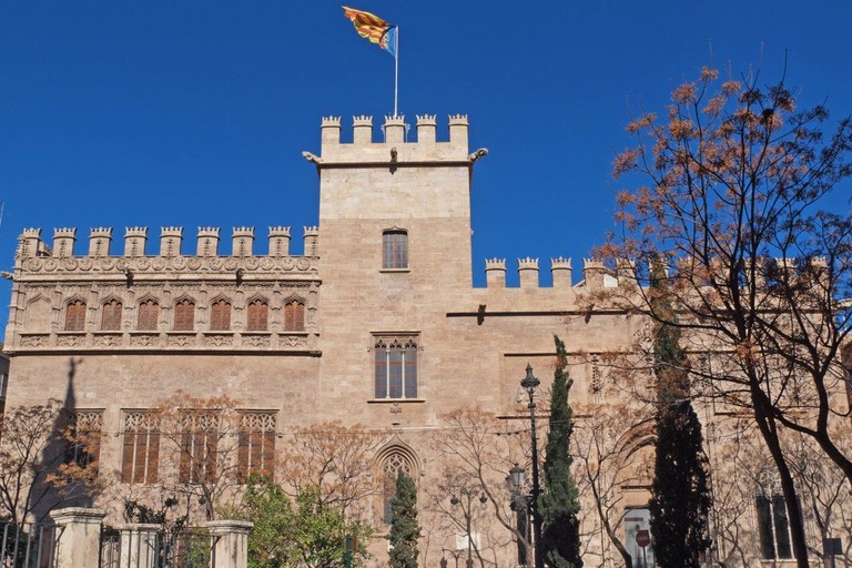 From Alicante: Day Trip to Valencia and the Albufera with Boat Ride From Alicante in English