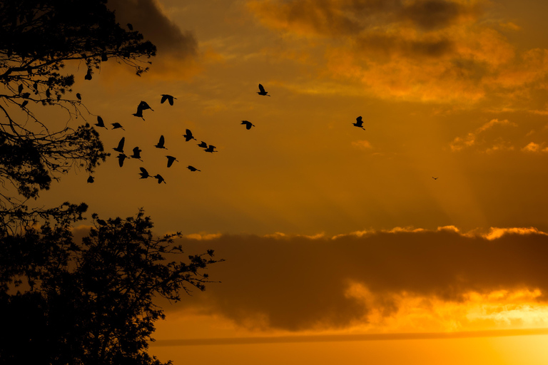 Addo Elephant National Park All Inclusive heldagssafariStandardtur