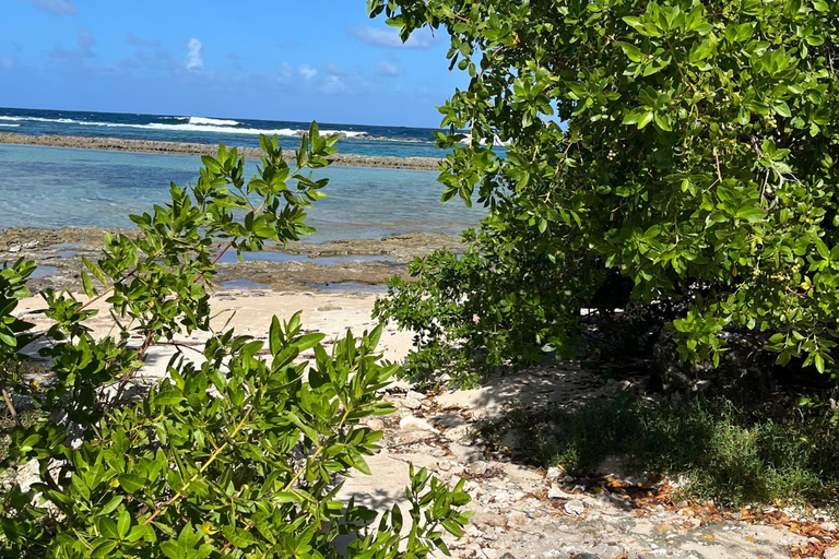 Saint-François tour: Donut BBQ Boat swim, Pointe des Châteaux Saint-François Tour: Donut BBQ Boat Swim, Pointe des Châteaux