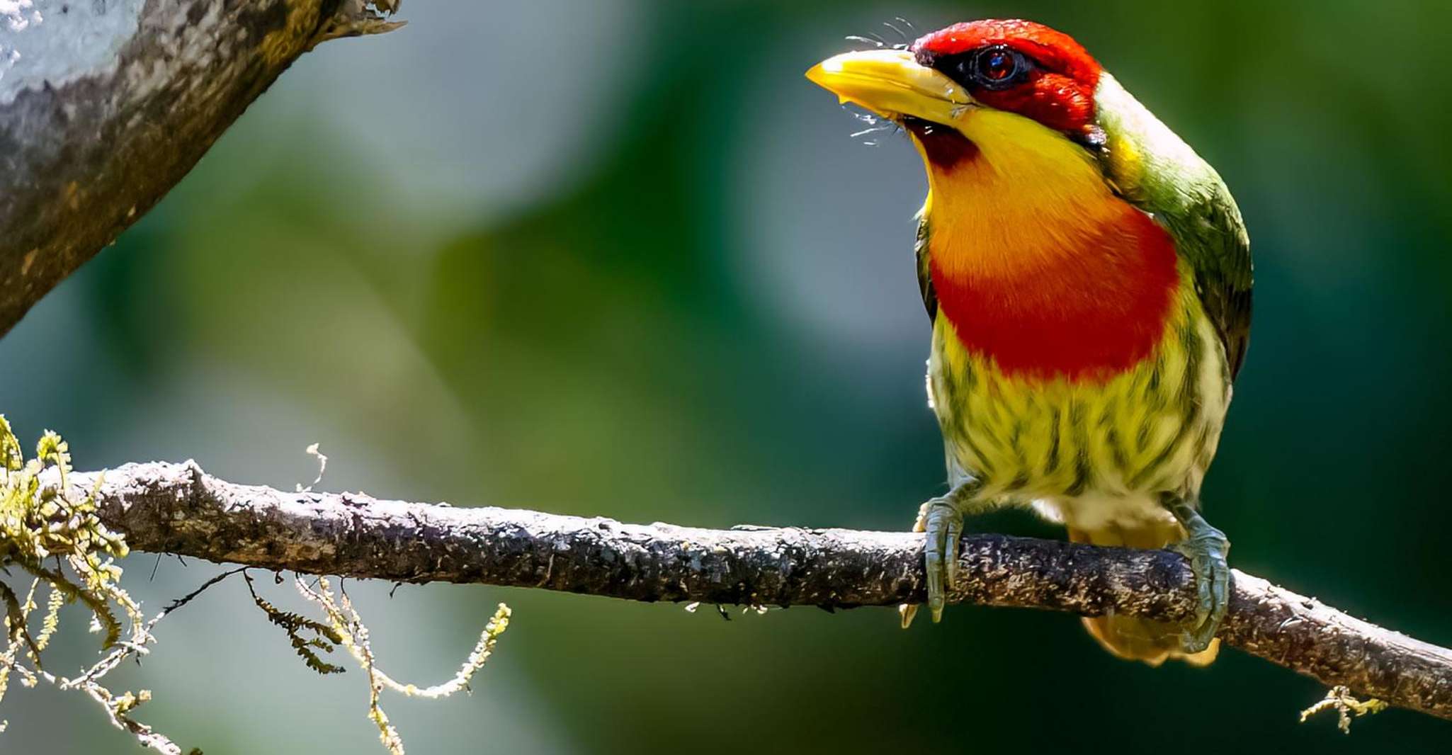 From Cusco | Manu Jungle Excursion 7D/6N | Wonders of Manu - Housity