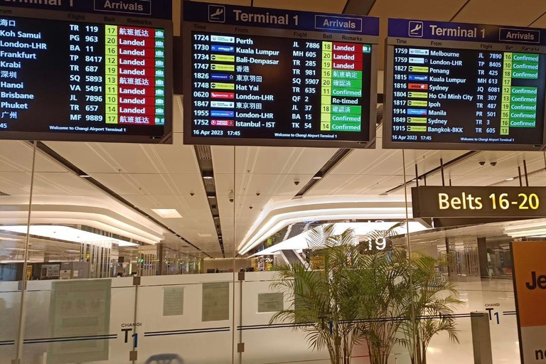 Singapore: Airport/Seaport Arrival Transfer + Meet &amp; GreetBusiness Sedan (Mercedes-Benz E-Class or similar)