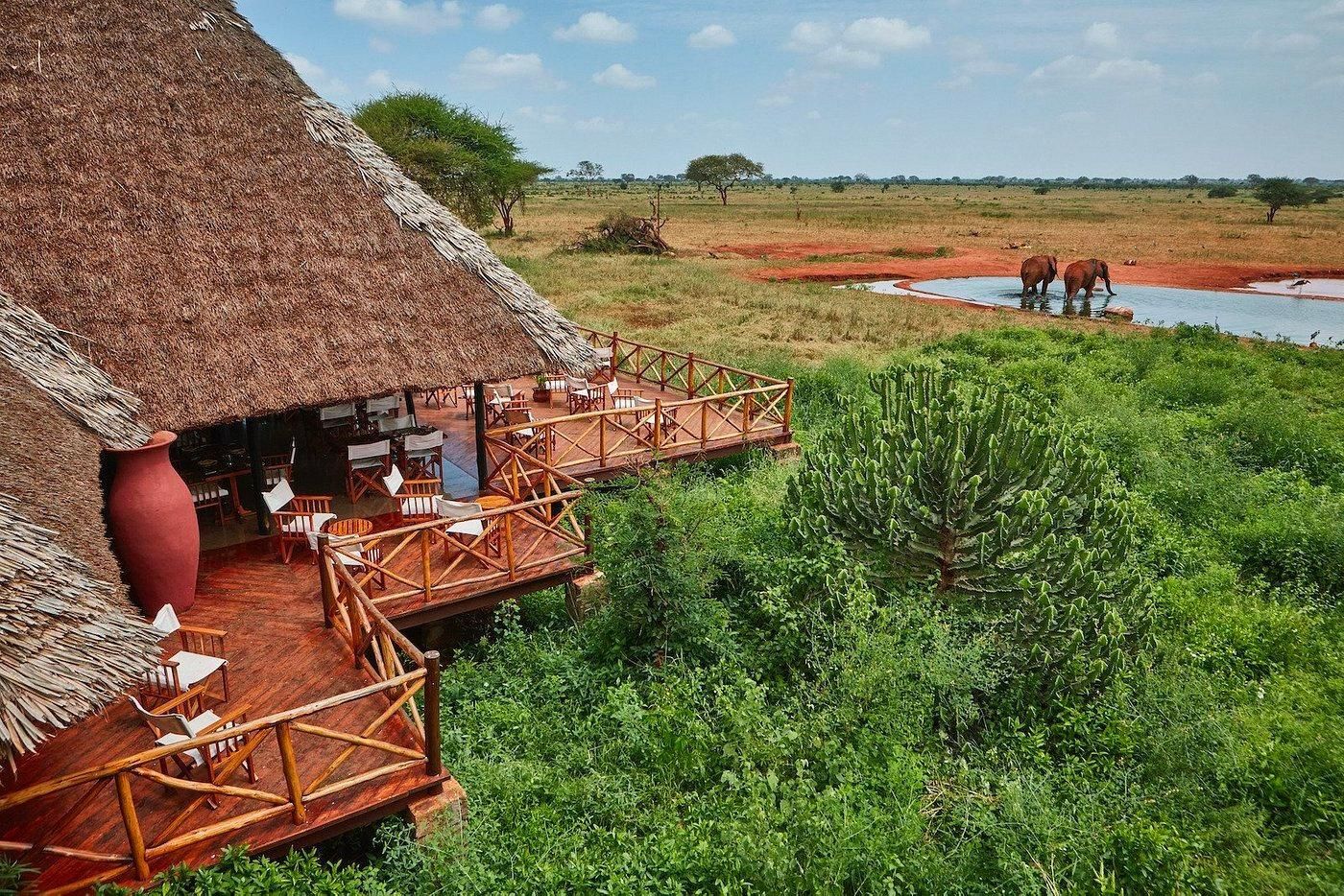 Ab Mombasa: Ngutuni-Sanctuary-Safari mit Mittagessen
