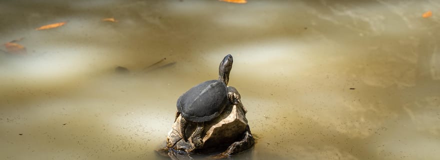 Saranda 1 jour : Butrint, Ksamil, l'Œil Bleu et le château de Lekuresi