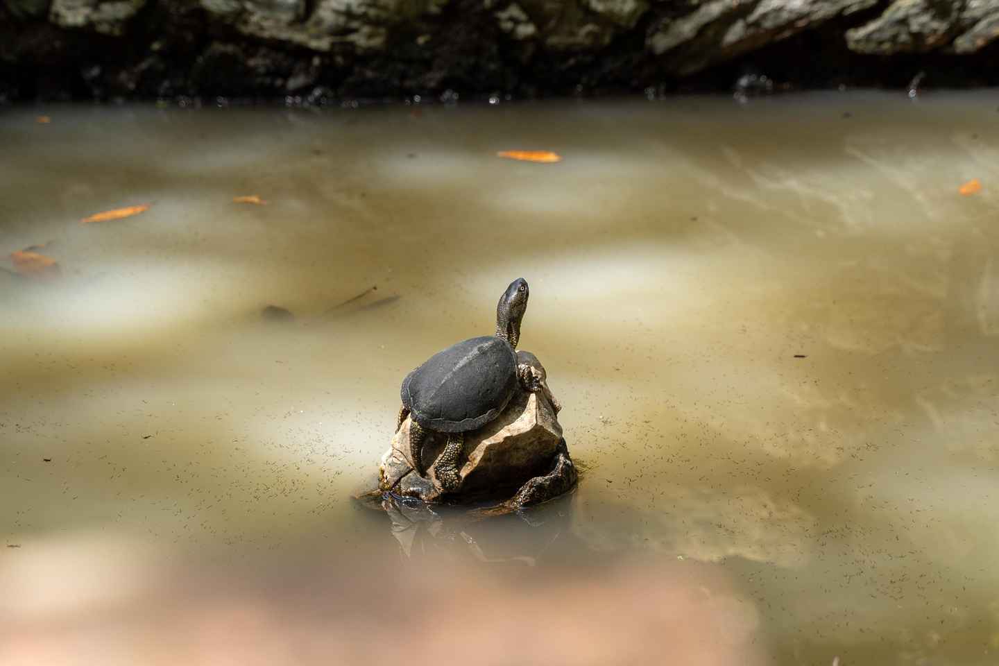 Saranda 1-Day: Butrint, Ksamil, Blue Eye & Lekuresi Castle
