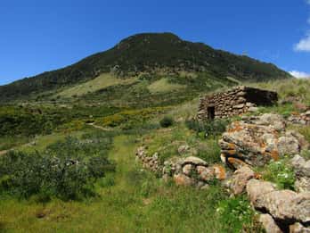 Pantelleria: Botanische wandeling