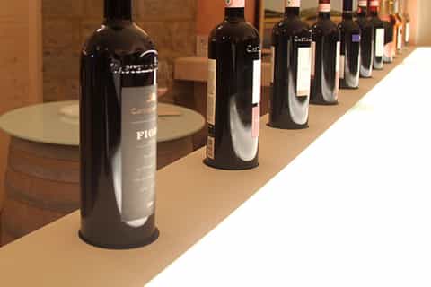 Tour dei castelli medievali e degustazione di vini del Chianti con pranzo