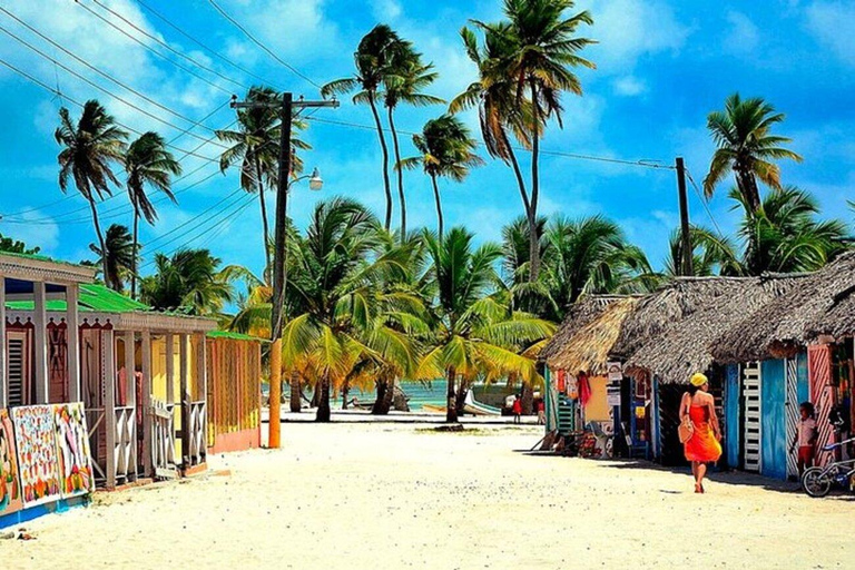 Bavaro: Saona-eiland VIP Speedboottour met Open BarSaona Eiland VIP Tour!