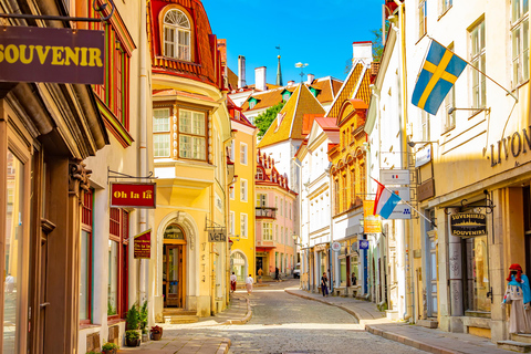 Les joyaux cachés de Tallinn : Promenade guidée dans la vieille ville