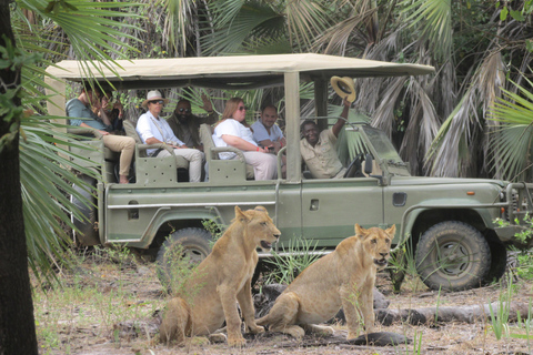 2 dias, 1 noite Selous Game Reserve/Parque Nacional Nyerere2 dias, 1 noite na Reserva de Caça Selous / Parque Nacional Nyerere