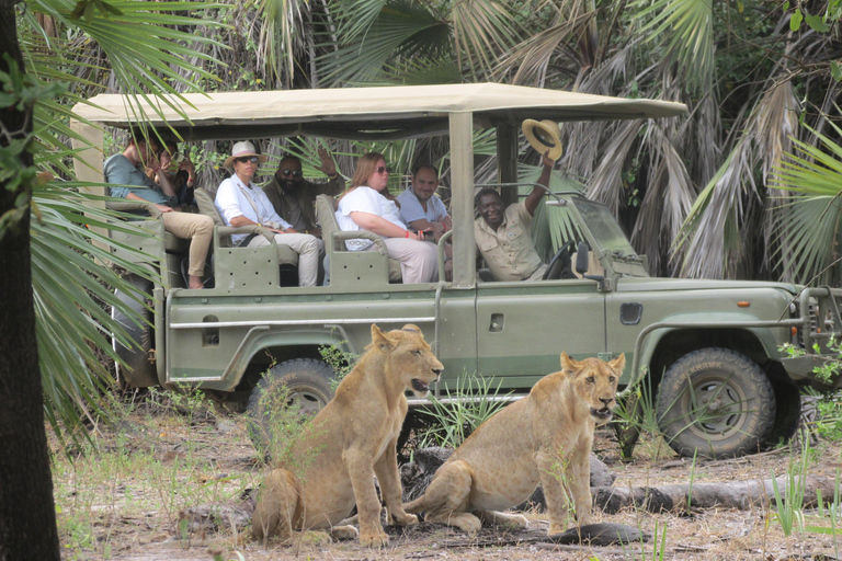 2 dias, 1 noite Selous Game Reserve/Parque Nacional Nyerere2 dias, 1 noite na Reserva de Caça Selous / Parque Nacional Nyerere