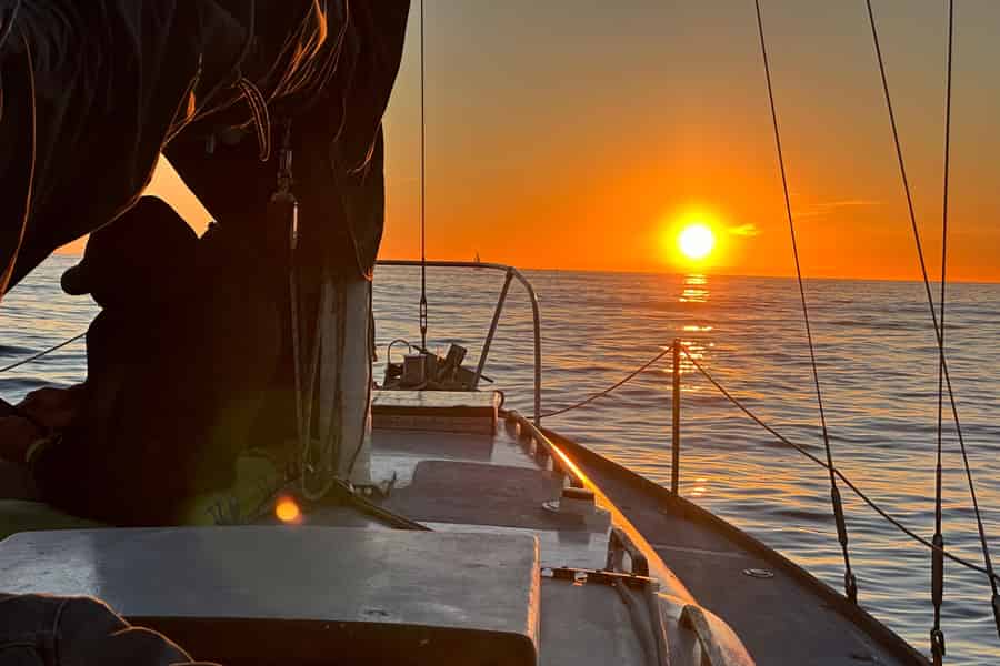 Marina del Rey: Bootsfahrt auf den Ozean mit Delfinbeobachtung. Foto: GetYourGuide Marina del Rey: Bootsfahrt auf den Ozean mit Delfinbeobachtung. Foto: GetYourGuide