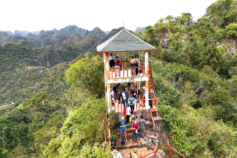 Half Day Hiking to Cat Ba National Park with a Guide