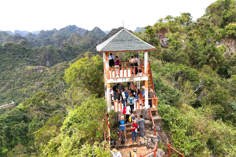 Half Day Hiking to Cat Ba National Park with a Guide