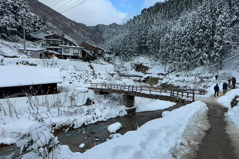 Tokyo: Private Nagano Tour with English speaking driver