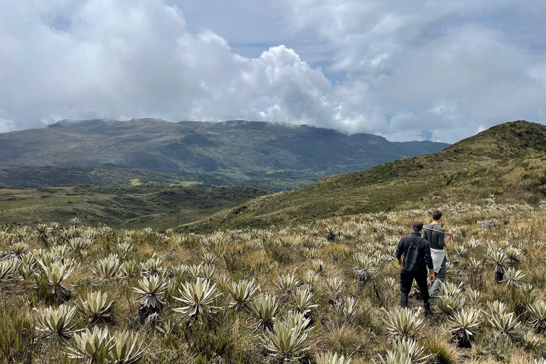 Bogotá: Mataredonda Páramo and Laguna de Teusacá Hike