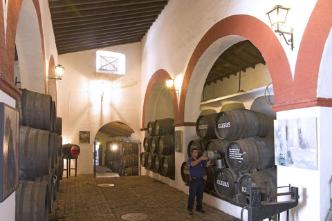 Seville: Bull Ranch, Winery & Rábida Monastery Tour