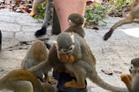 Transfers and taxis Monkey land in puerto plataMonkey land in puerto plata