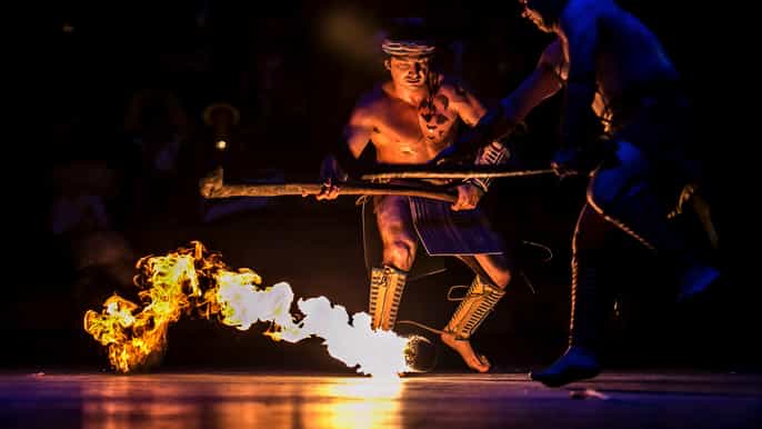 xcaret park basic fullday ticket with night show