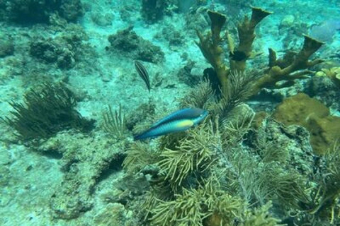 La Romana: Catalina Island for Mein Schiff Cruise Passengers