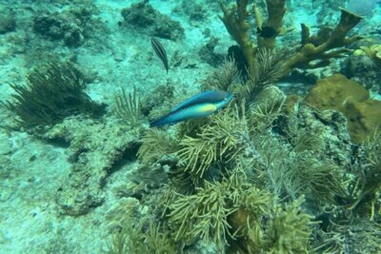 La Romana: Catalina Island for Mein Schiff Cruise Passengers