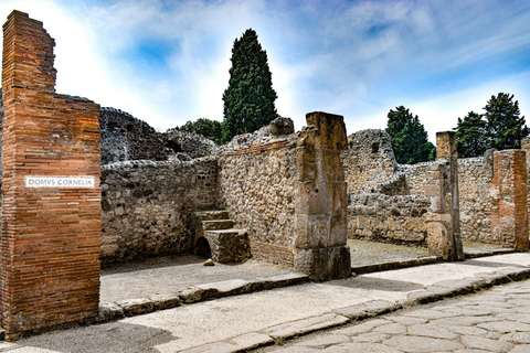 From Naples: Pompeii and Vesuvius Tour with LunchRegular Group Tour