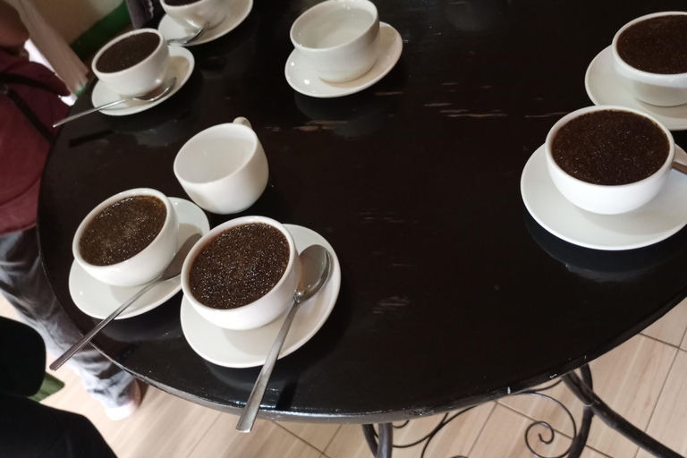 TOUR GIORNALIERO DELLA FATTORIA DEL CAFFÈ FAIRVIEW