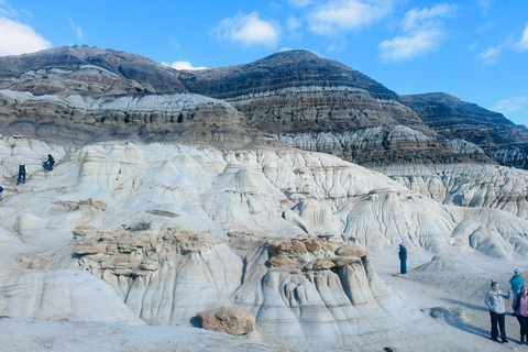 Badlands Tour: Drumheller with Museum, Hoodoos & Dinosaurs Booking Option for Summer 2026
