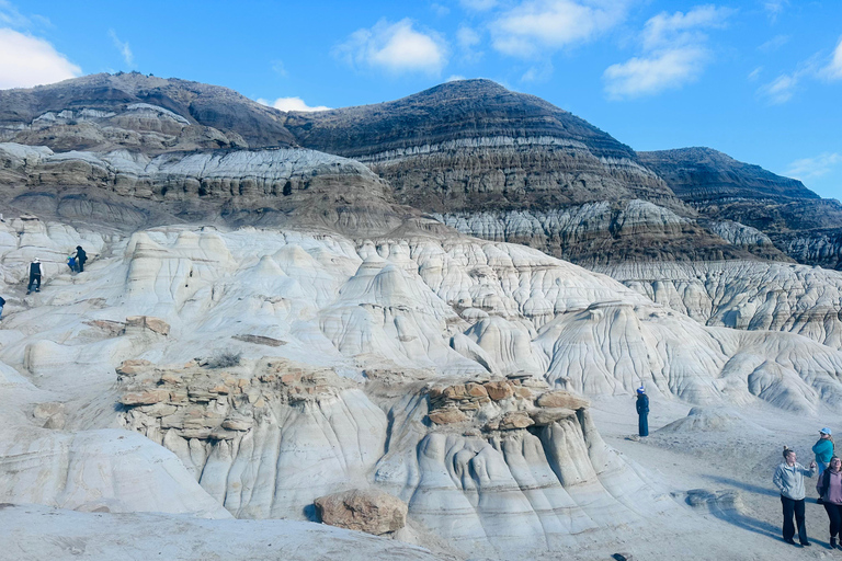 Badlands Tour: Drumheller with Museum, Hoodoos & Dinosaurs Booking Option for Summer 2026