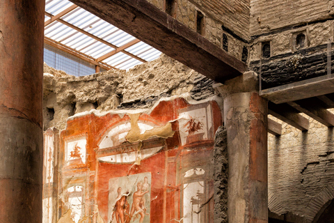 Herculanum : Visite privée avec chauffeur depuis NaplesOption avec chauffeur et billets - pas de visite guidée incluse