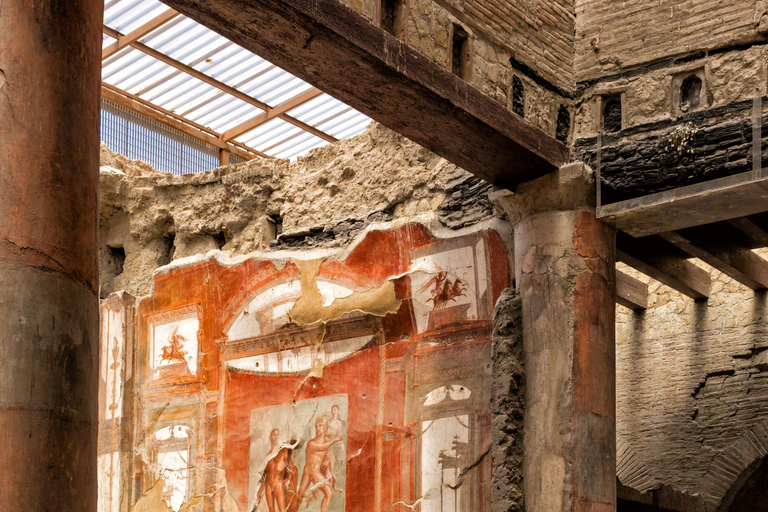 Herculanum : Visite privée avec chauffeur depuis NaplesOption avec chauffeur et billets - pas de visite guidée incluse