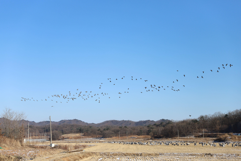 Da Seul: DMZ, il secondo tunnel e il tour del fiume Hantan dell&#039;UNESCOStazione Myeongdong Uscita 10 alle ore 07:00