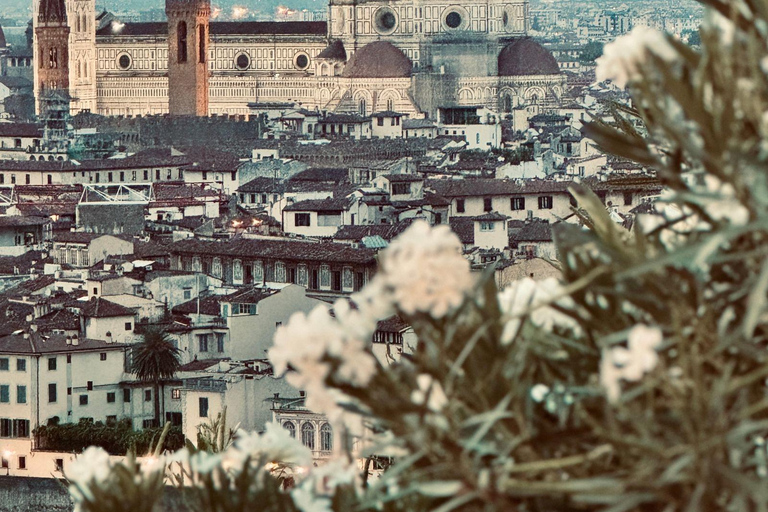 Bologna: Florence and Pisa Private Day Tour